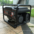 BISON CHINA Bonne qualité 2kw Dynamo Generator Price